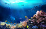 Undersea Image - Shutterstock