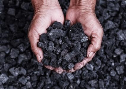 bureau veritas our history coal 